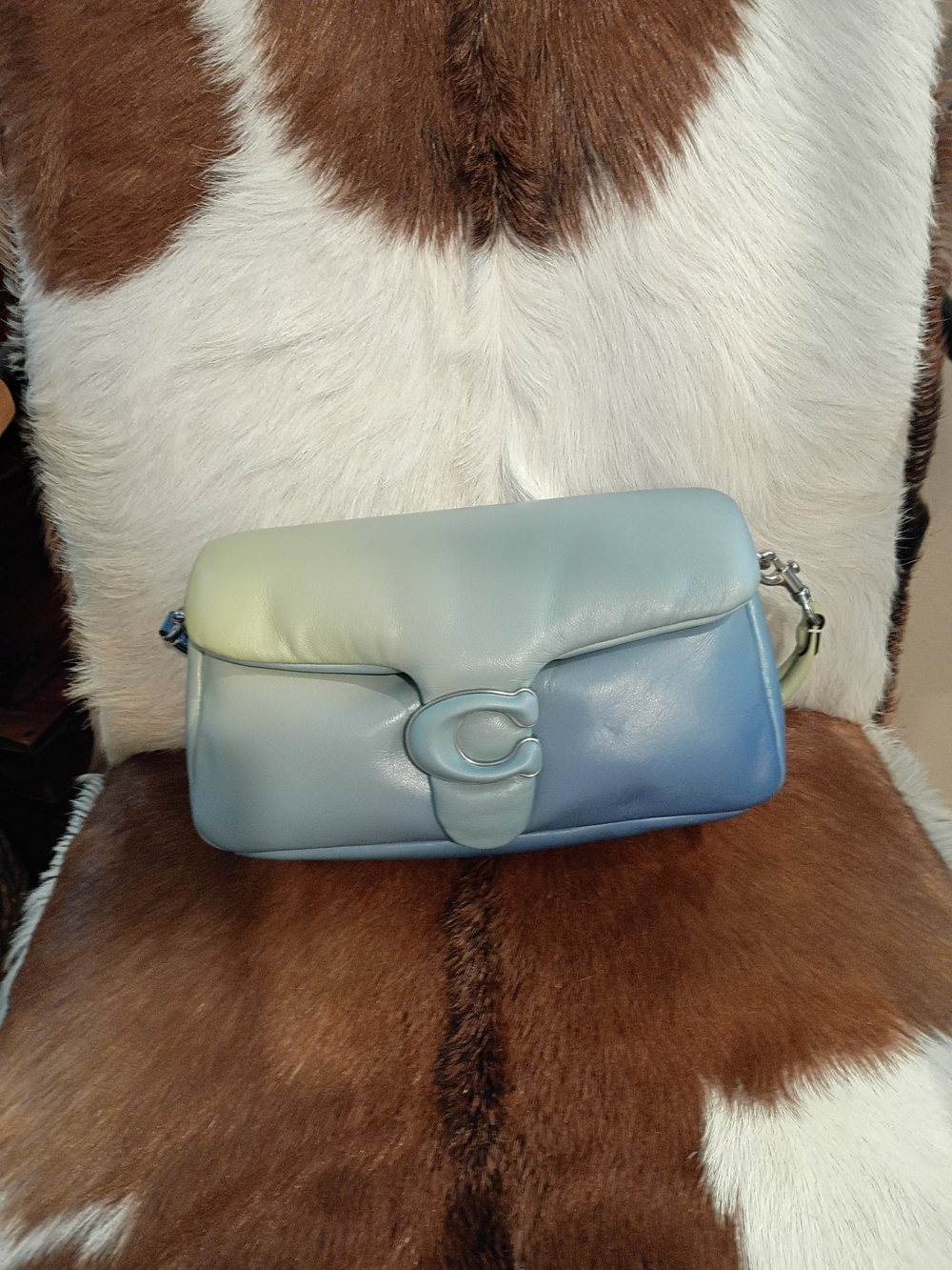 Coach Pastel Ombre Leather Shoulder Bag in Blue, Mint, Yellow